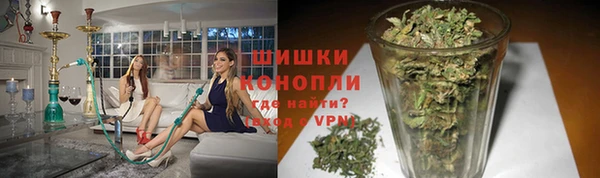 СК Новозыбков